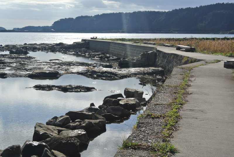 f:id:mannenNA:20201210182038j:plain