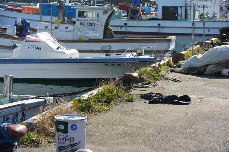 f:id:mannenNA:20201210182340j:plain