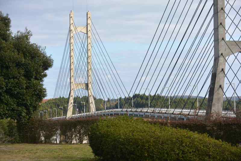 f:id:mannenNA:20201211185451j:plain