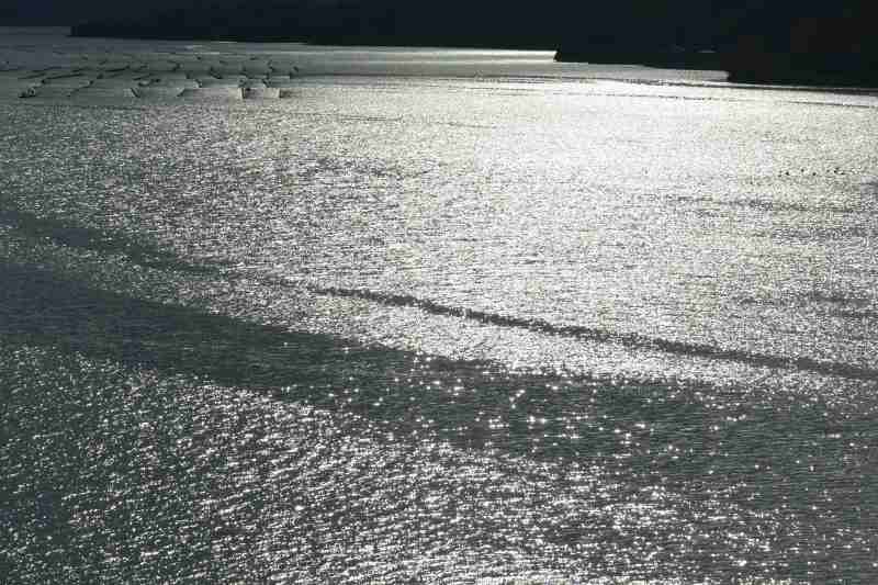 f:id:mannenNA:20201211185513j:plain