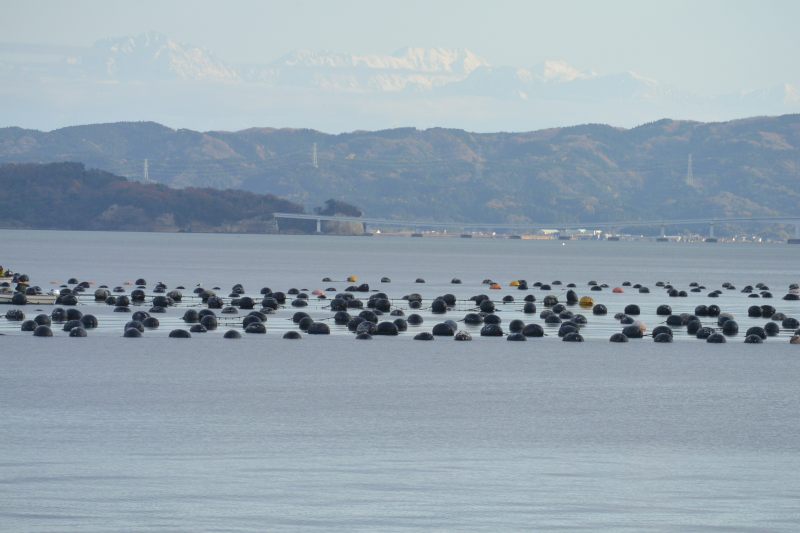 f:id:mannenNA:20201211190255j:plain