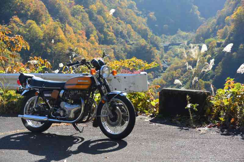 f:id:mannenNA:20201221204401j:plain