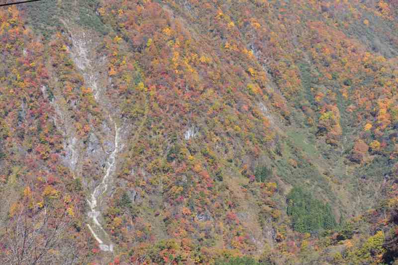 f:id:mannenNA:20201221204415j:plain