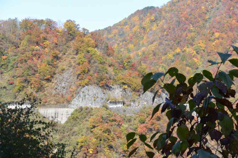 f:id:mannenNA:20201221204623j:plain