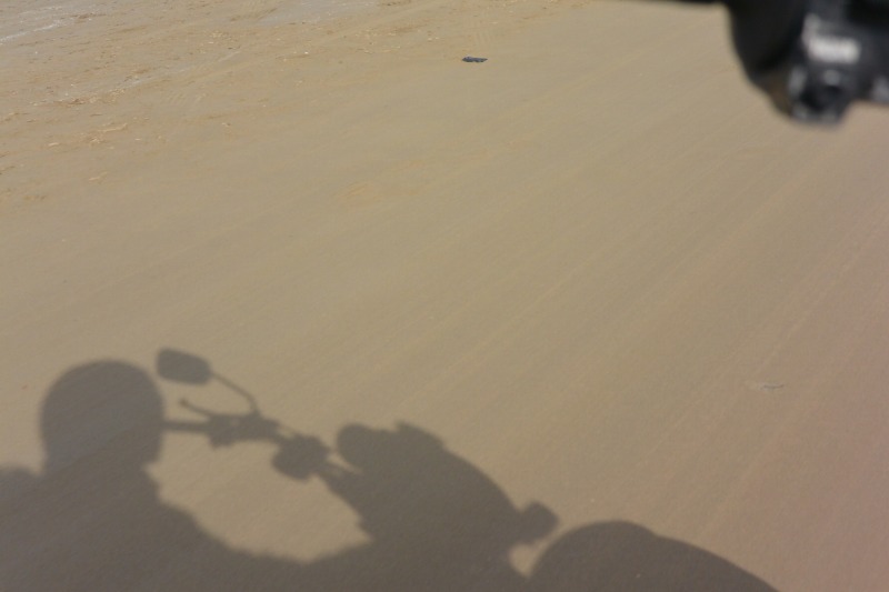 f:id:mannenNA:20201222210405j:plain