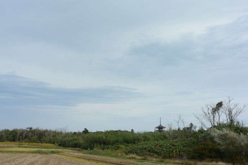 f:id:mannenNA:20201222210746j:plain