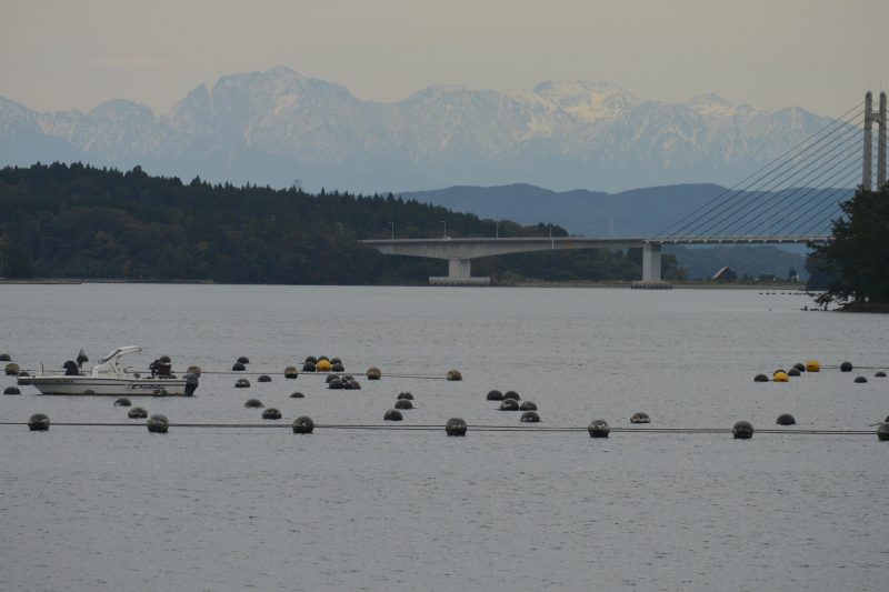 f:id:mannenNA:20201224181214j:plain