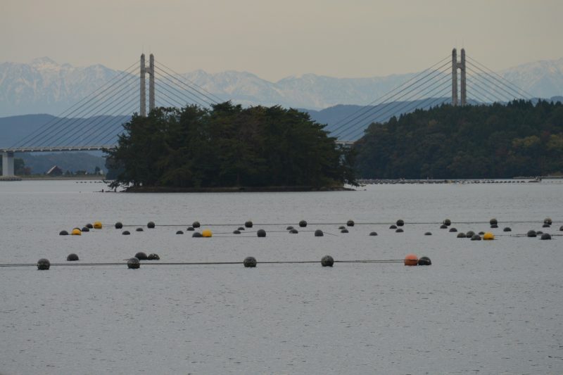 f:id:mannenNA:20201224181258j:plain