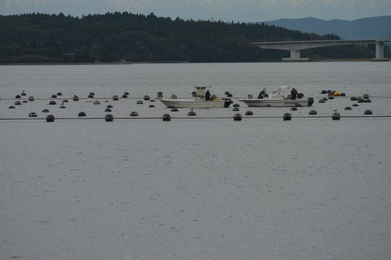 f:id:mannenNA:20201224181321j:plain