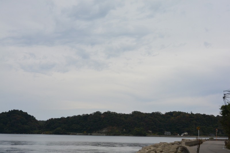 f:id:mannenNA:20201224181404j:plain