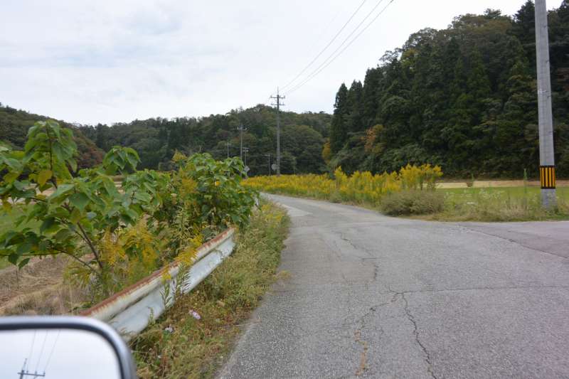 f:id:mannenNA:20201224181421j:plain