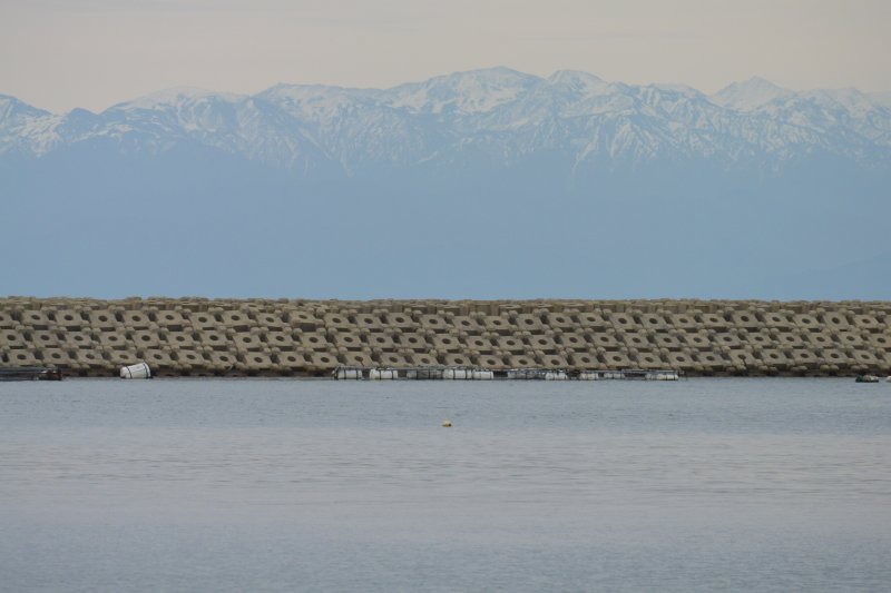 f:id:mannenNA:20201224181501j:plain