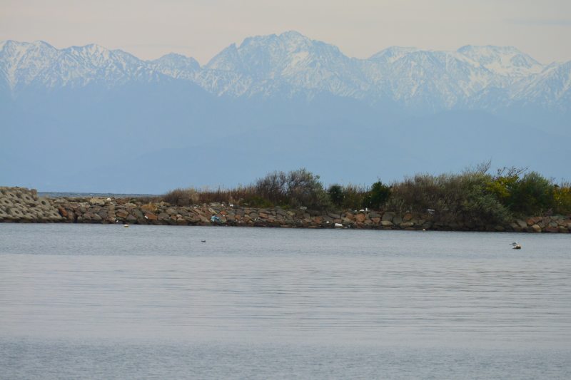 f:id:mannenNA:20201224181519j:plain