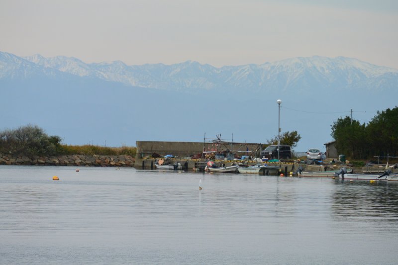 f:id:mannenNA:20201224181536j:plain