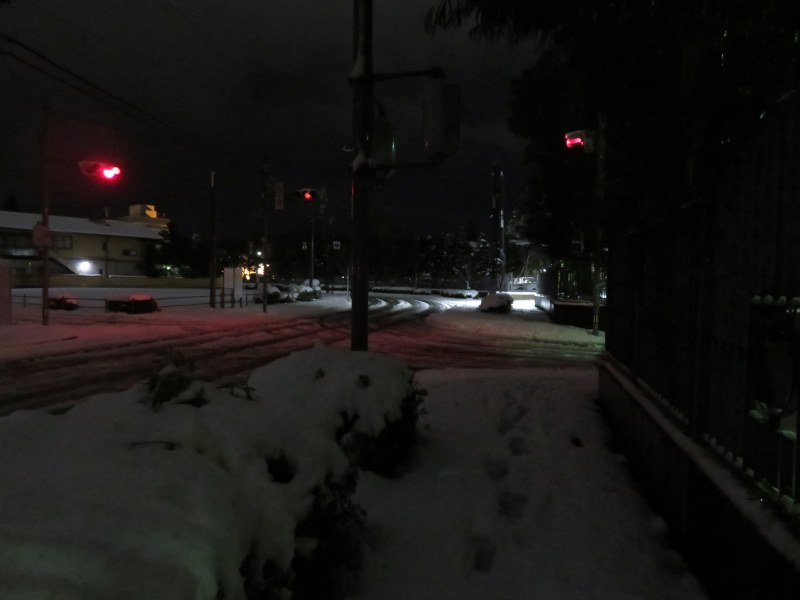 f:id:mannenNA:20210101081226j:plain