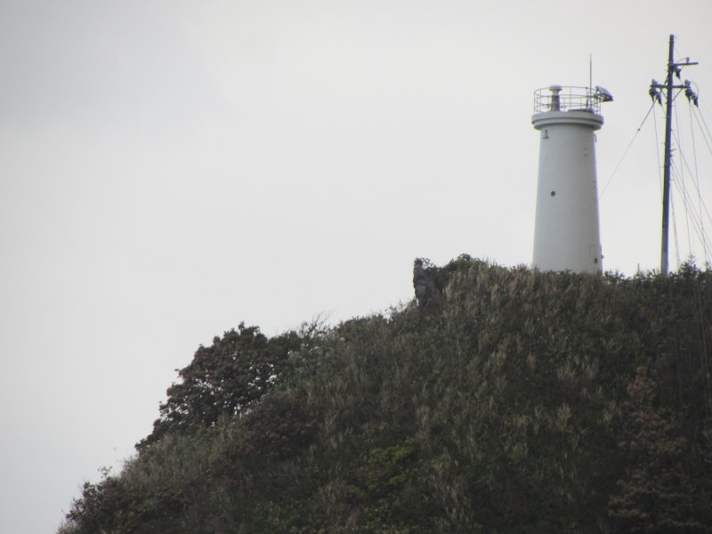 f:id:mannenNA:20210102193736j:plain