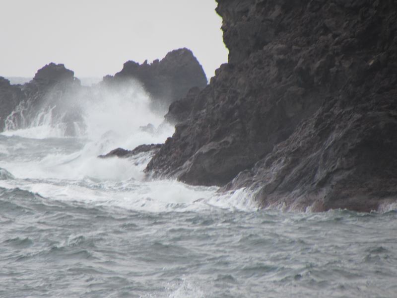 f:id:mannenNA:20210102193752j:plain