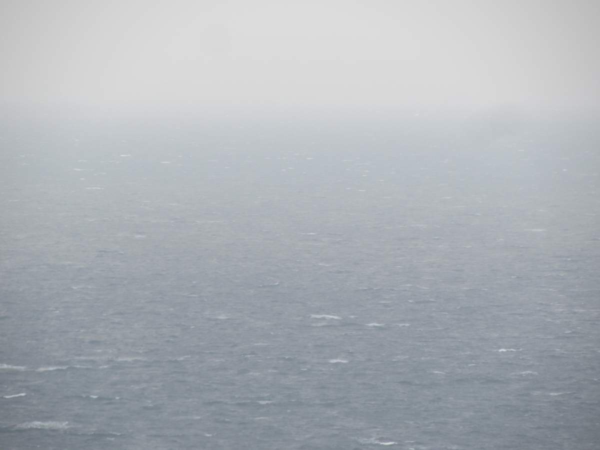 f:id:mannenNA:20210102195241j:plain