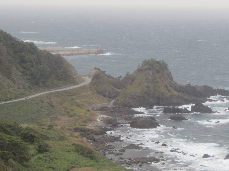 f:id:mannenNA:20210103194601j:plain