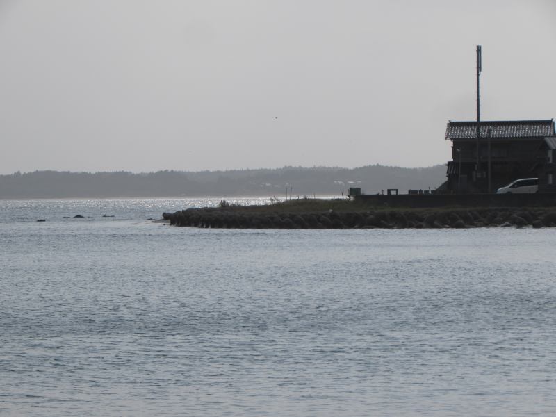 f:id:mannenNA:20210103194716j:plain