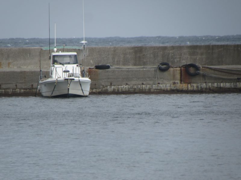 f:id:mannenNA:20210103194829j:plain