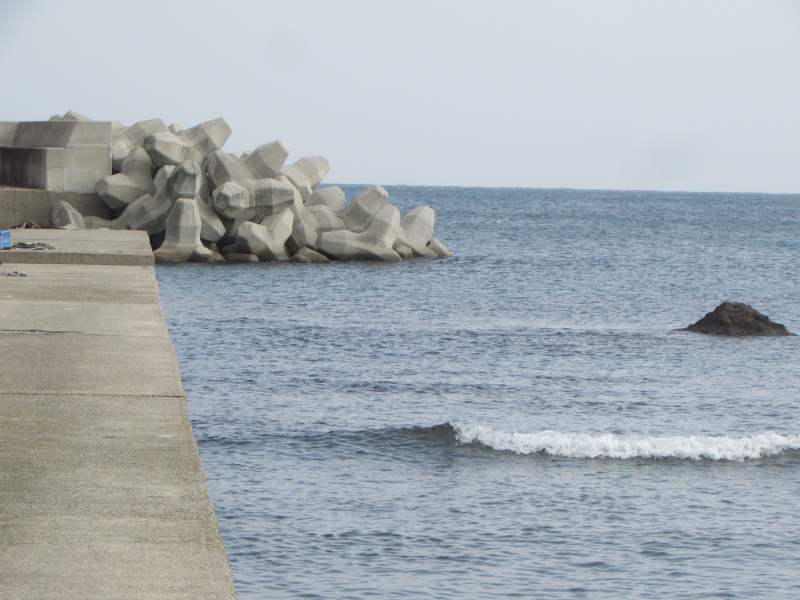 f:id:mannenNA:20210103194854j:plain