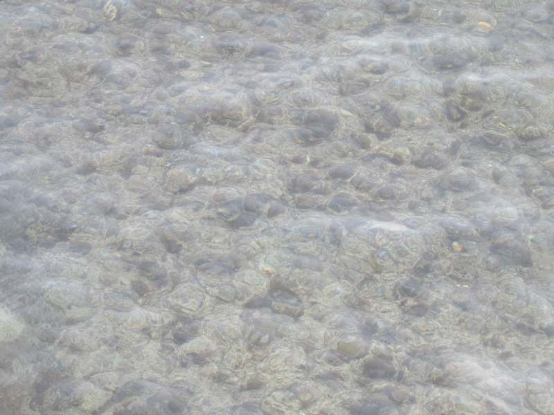 f:id:mannenNA:20210103194916j:plain