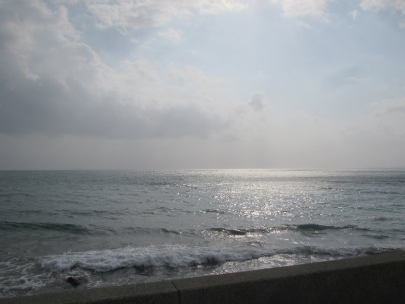 f:id:mannenNA:20210103195315j:plain