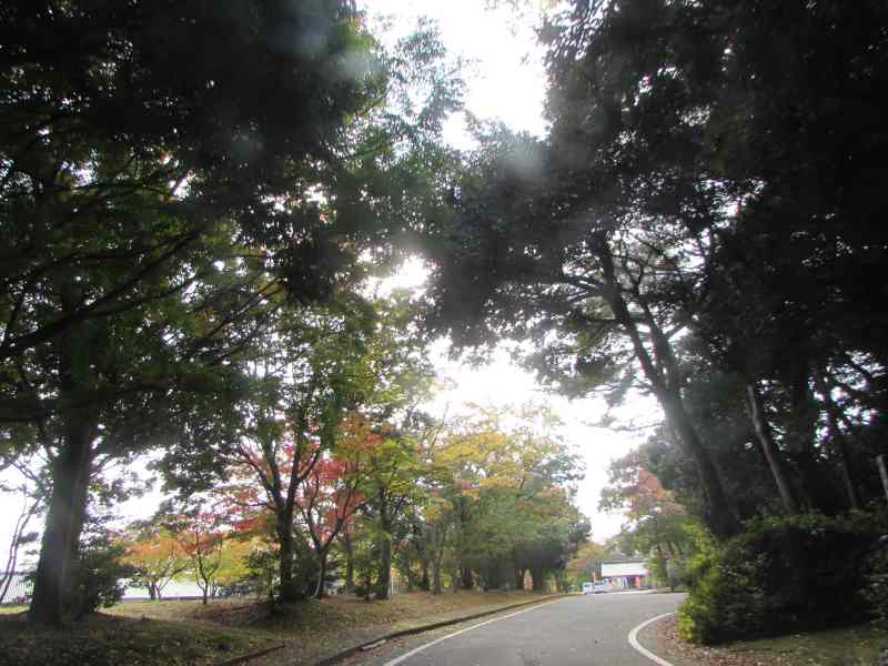 f:id:mannenNA:20210103195448j:plain