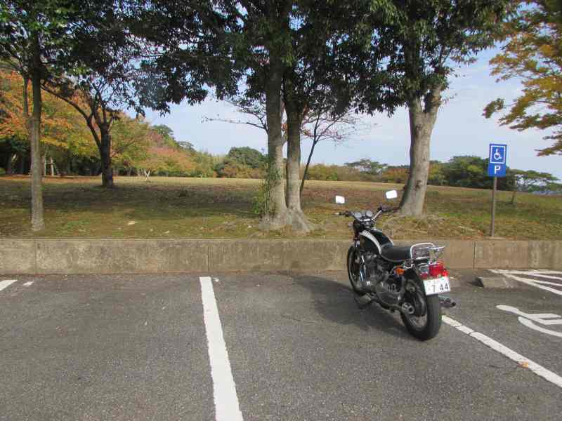 f:id:mannenNA:20210103195503j:plain