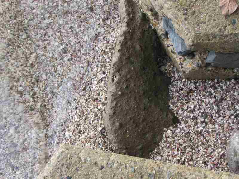 f:id:mannenNA:20210103195642j:plain