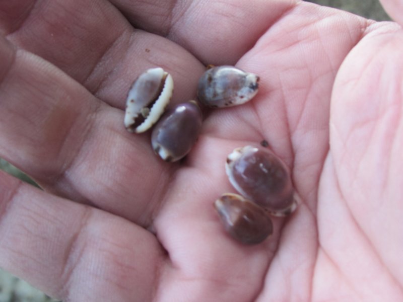 f:id:mannenNA:20210103195703j:plain