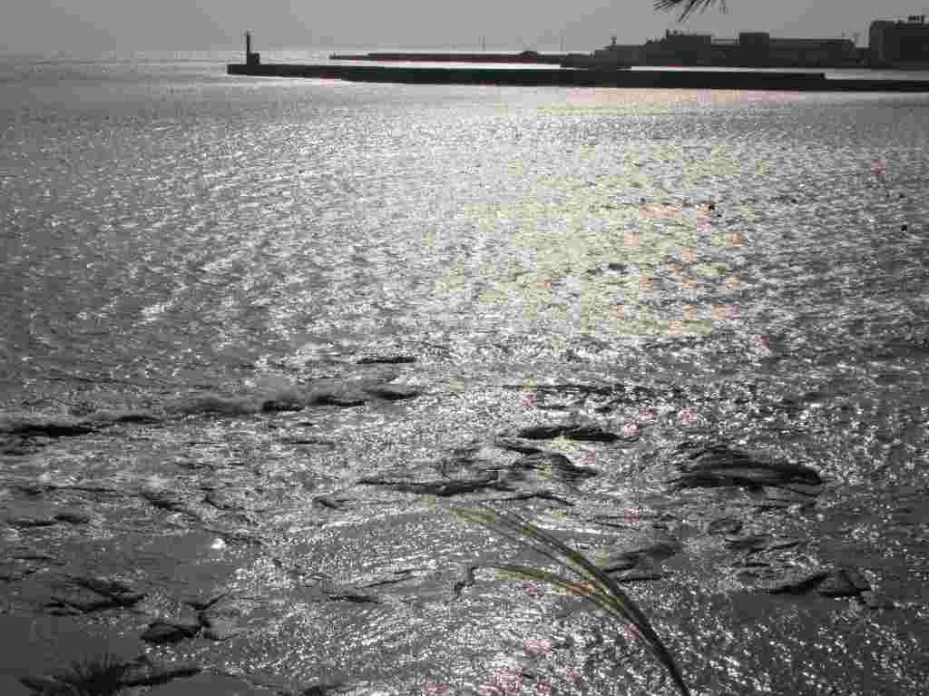 f:id:mannenNA:20210104182353j:plain