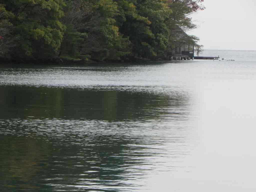 f:id:mannenNA:20210104182501j:plain