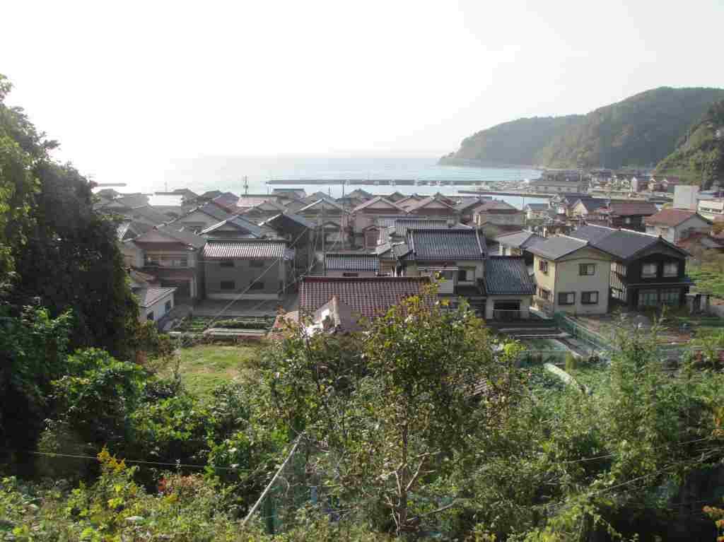 f:id:mannenNA:20210104182658j:plain