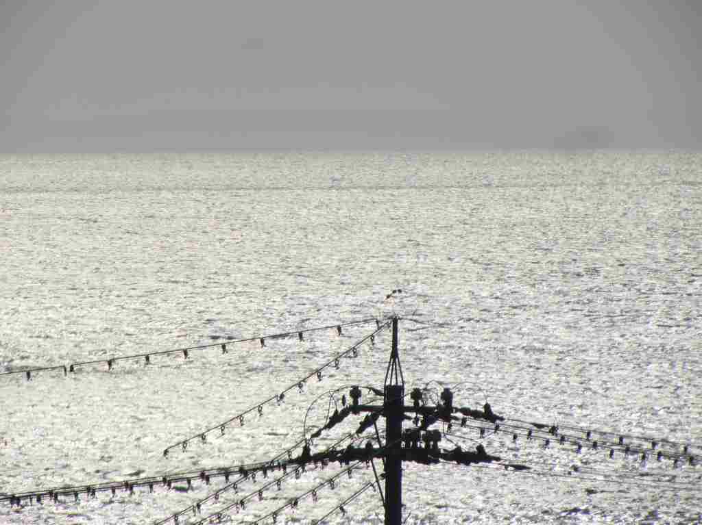 f:id:mannenNA:20210104182730j:plain