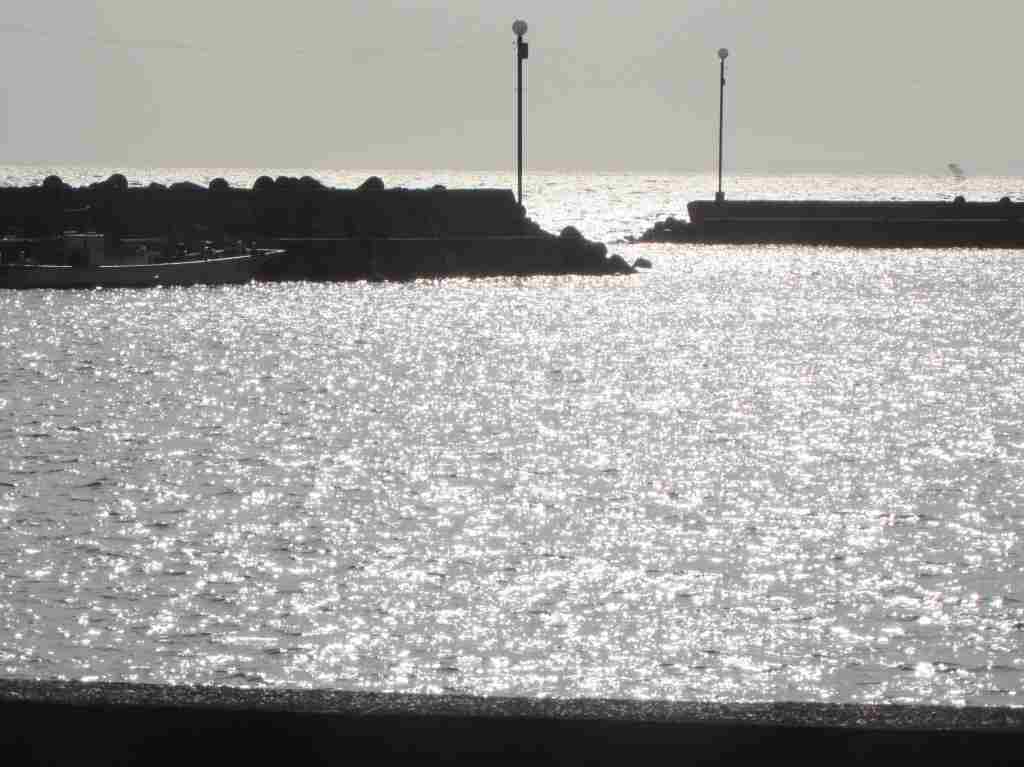 f:id:mannenNA:20210104182844j:plain