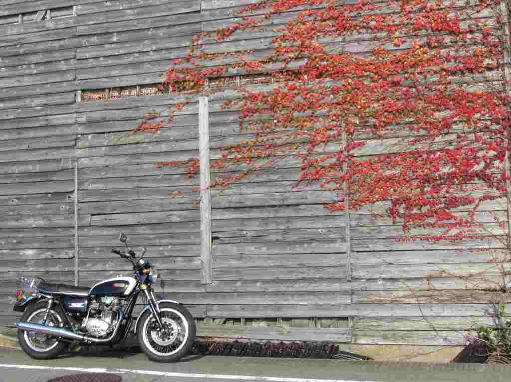 f:id:mannenNA:20210104182913j:plain