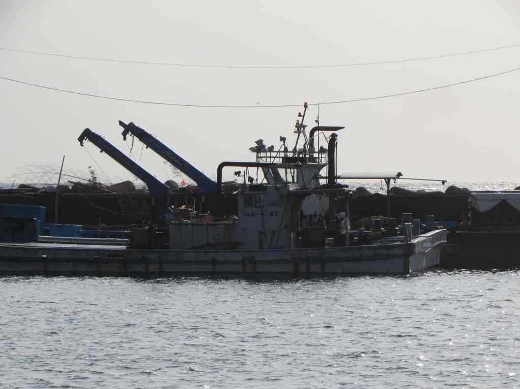 f:id:mannenNA:20210104182952j:plain