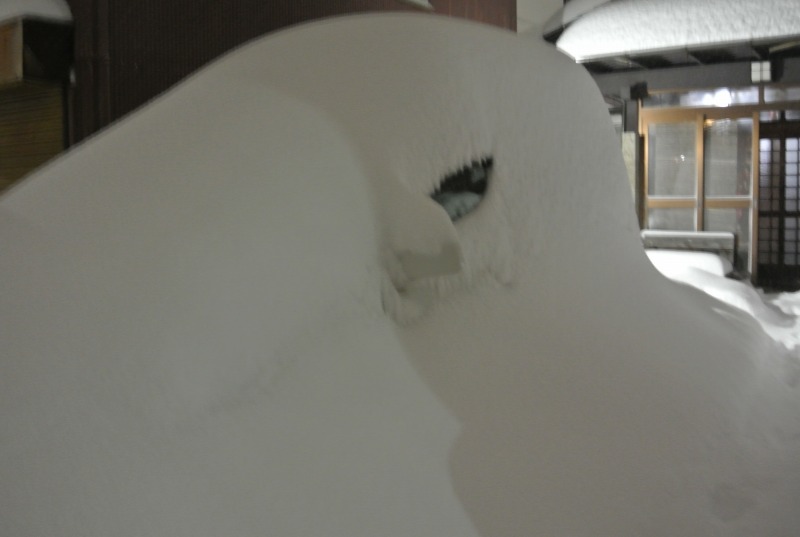 f:id:mannenNA:20210109223842j:plain