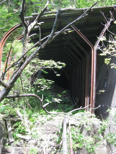 f:id:mannenNA:20210115180756j:plain