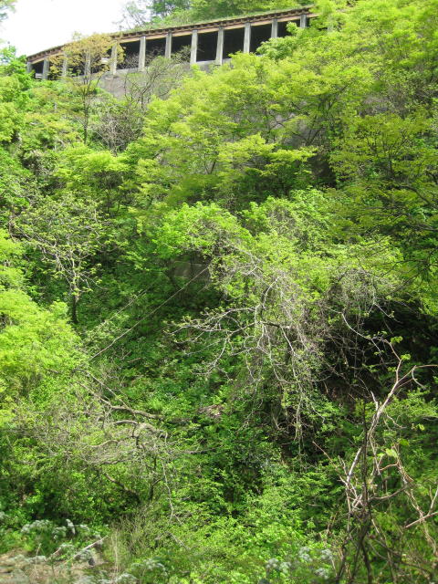 f:id:mannenNA:20210115180814j:plain