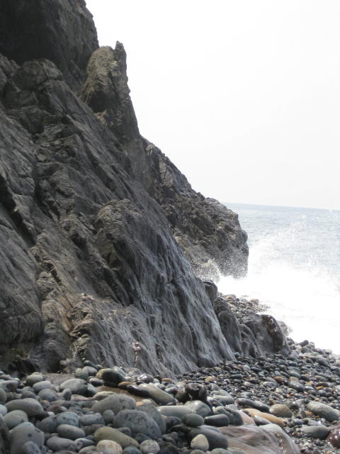 f:id:mannenNA:20210115180846j:plain