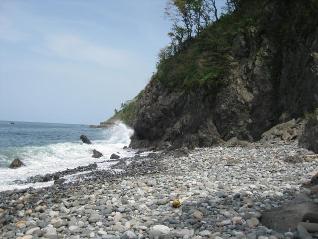 f:id:mannenNA:20210115180905j:plain