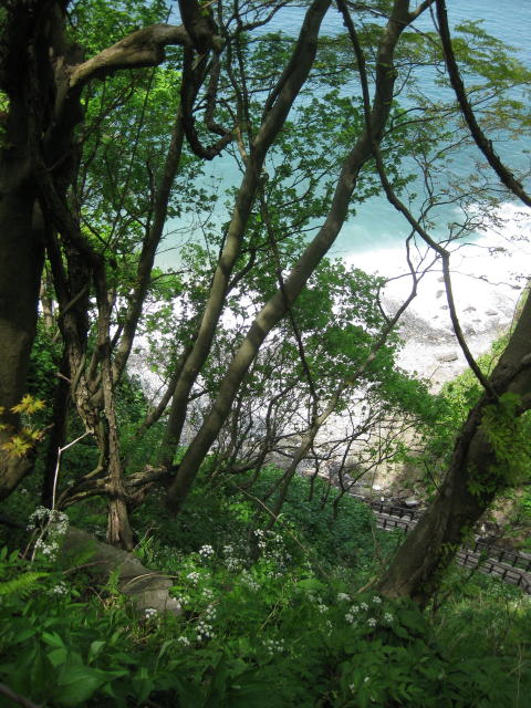 f:id:mannenNA:20210115180920j:plain