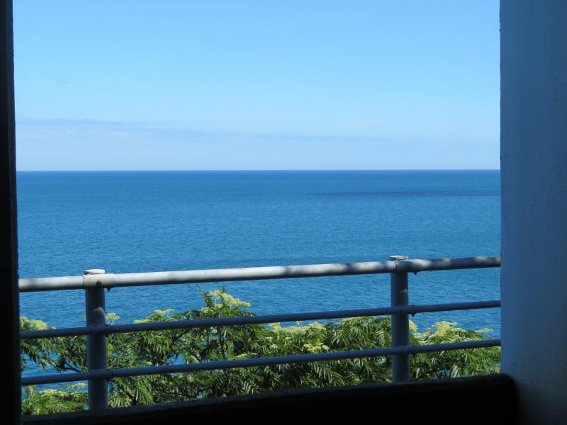 f:id:mannenNA:20210115183922j:plain