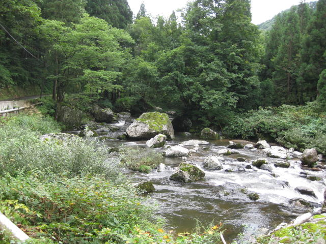 f:id:mannenNA:20210116114313j:plain