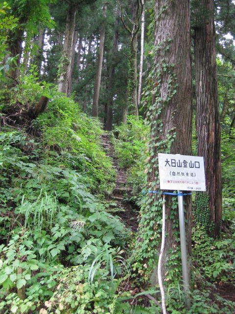 f:id:mannenNA:20210116114412j:plain