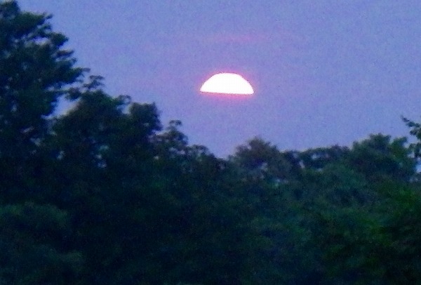 f:id:mannenNA:20210118204105j:plain