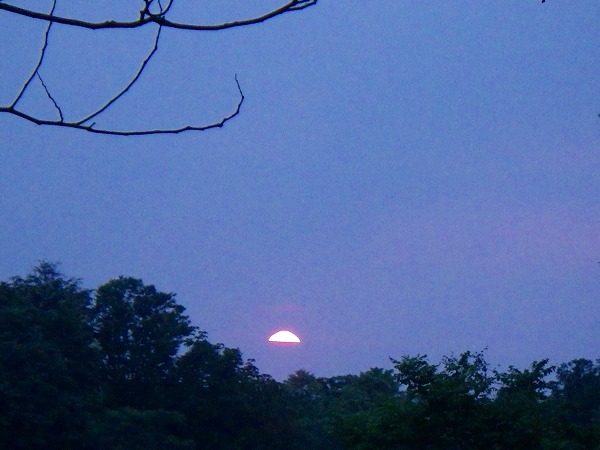 f:id:mannenNA:20210118204121j:plain